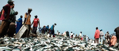 Potential clandestine emigrants (Kayar, fishing Village, Senegal)