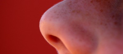 Details such as freckles on a nose